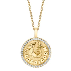 Fashion CAPRICORN ZODIAC COIN PENDANT WITH DIAMOND FRAME Pendants|Zodiac Coins
