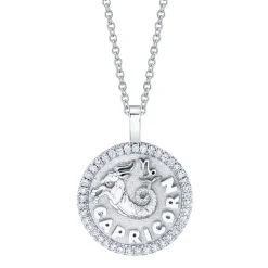 Fashion CAPRICORN ZODIAC COIN PENDANT WITH DIAMOND FRAME Pendants|Zodiac Coins