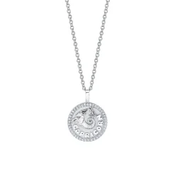 Flash Sale SMALL ZODIAC COIN PENDANT WITH DIAMOND FRAME Pendants|Zodiac Coins