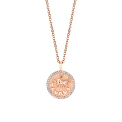 Flash Sale SMALL ZODIAC COIN PENDANT WITH DIAMOND FRAME Pendants|Zodiac Coins